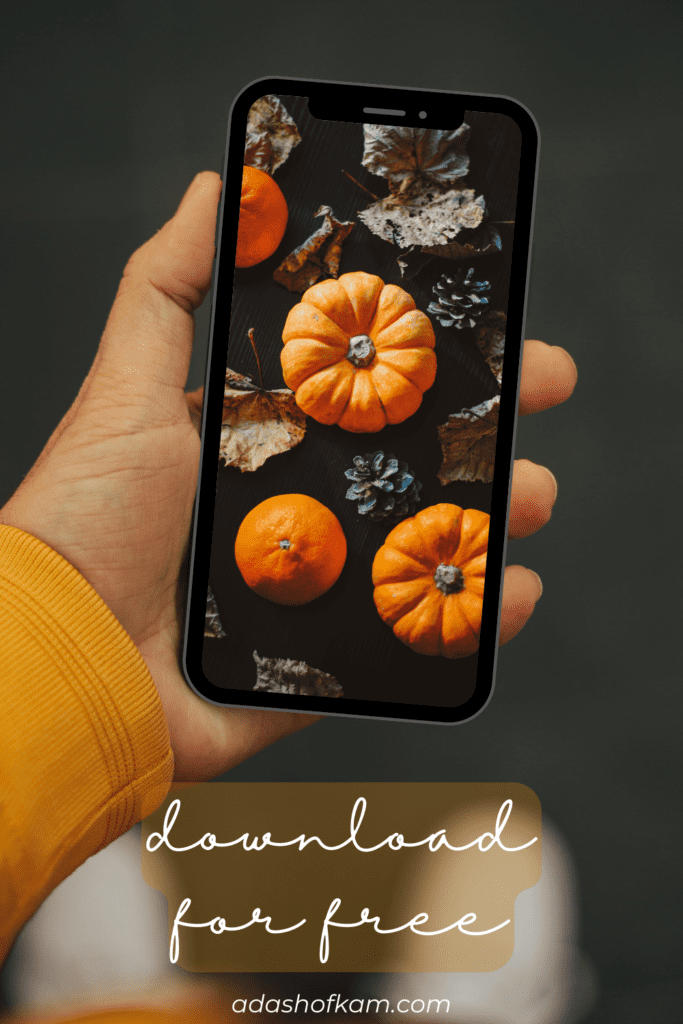 aesthetic autumn wallpaper iphone62