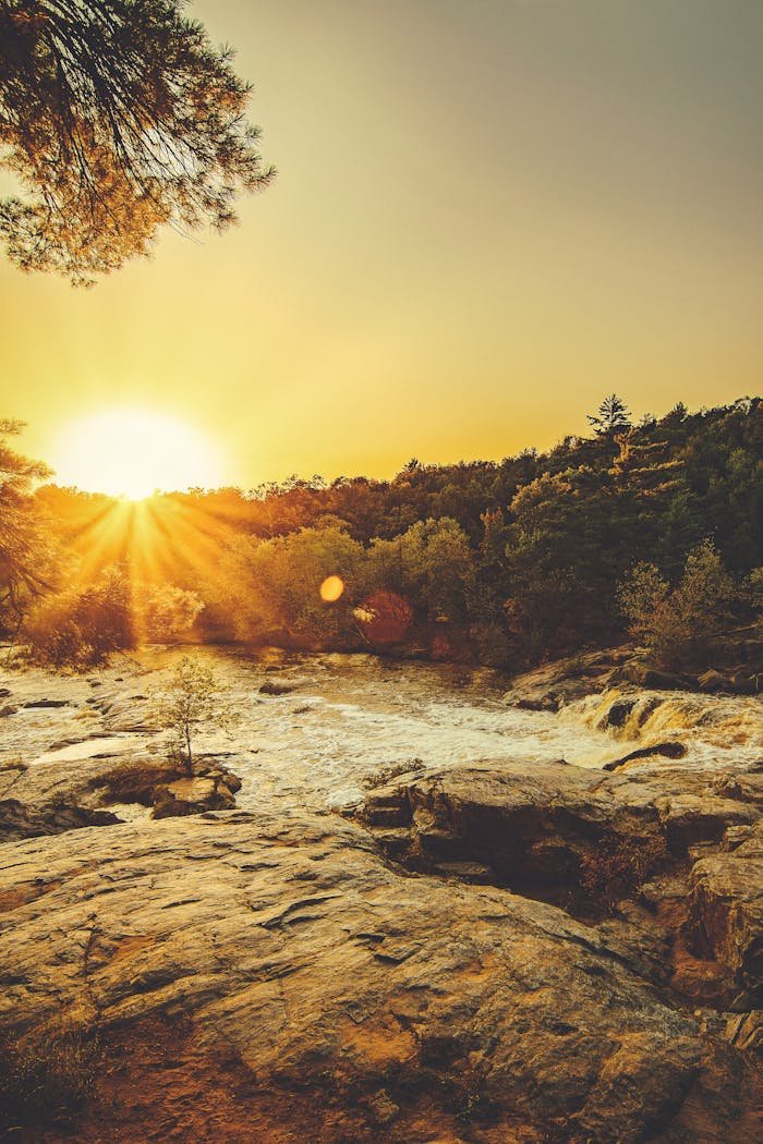 hero-gallery-04 Stunning sunset over a rocky river surrounded by lush greenery and sunbeams creating a serene landscape.